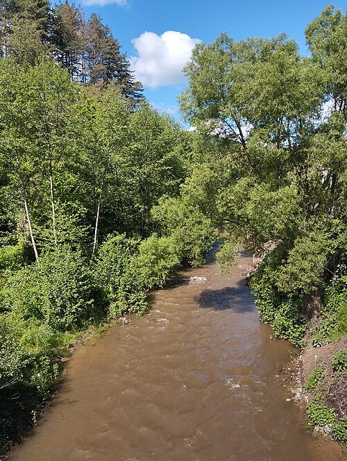 Lebnitsa