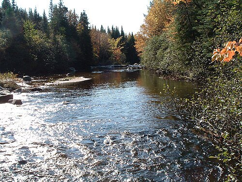 Rivière des Hurons
