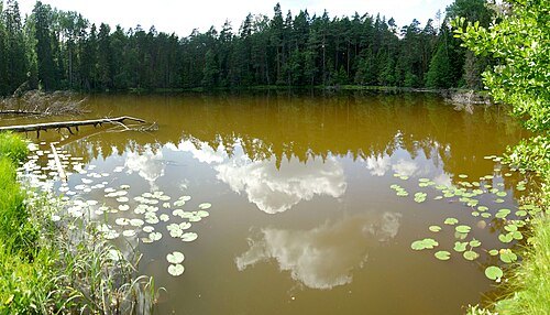 Ahvenajärv