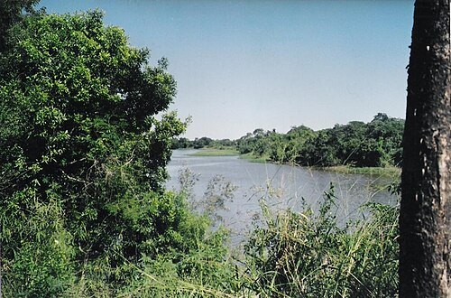 Negro River