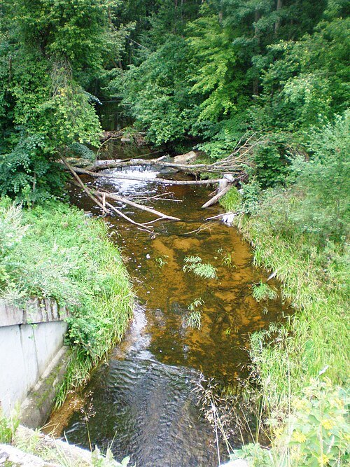 Aluona