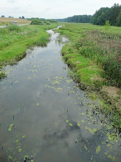 Dabikinė River