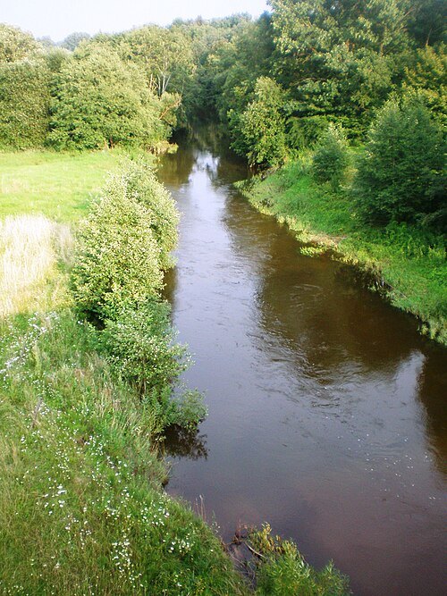 Šaltuona