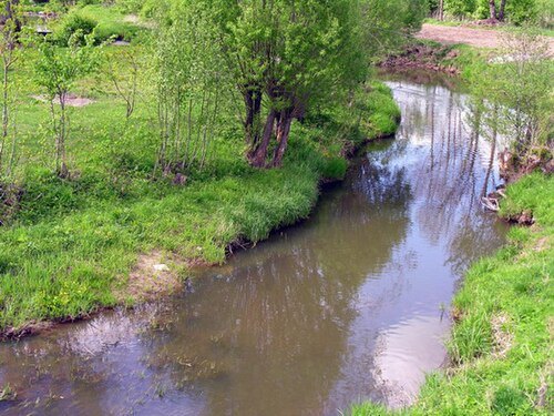 Kvistė