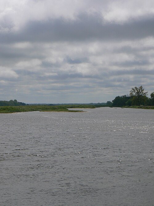Skirvytė