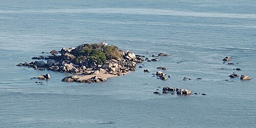 老鼠岛