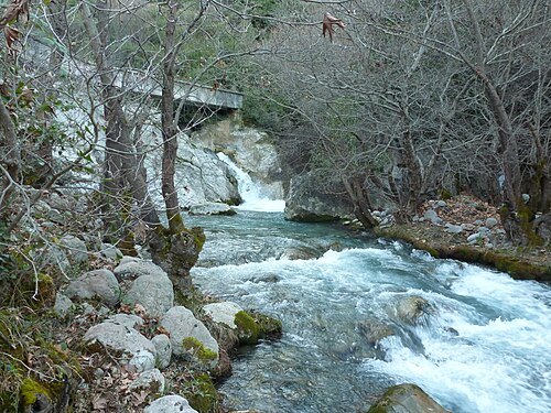 Gorgopotamos