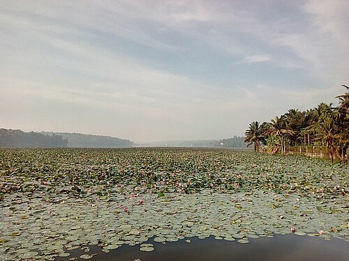 Vellayani Lake