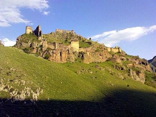 Tmogvi (თმოგვი)