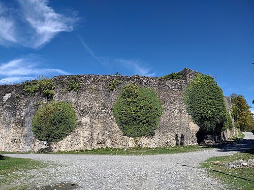 Fortaleza de Ruji