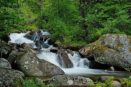 Vladaya River
