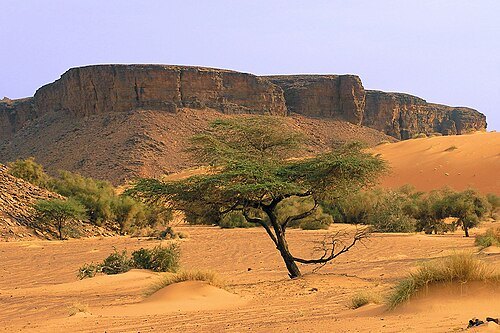 Adrar Plateau