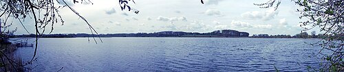 Scharsee