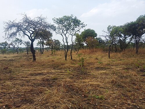 Ruvubu National Park