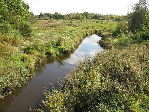 Peetri River
