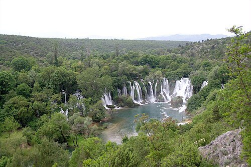 Kravica