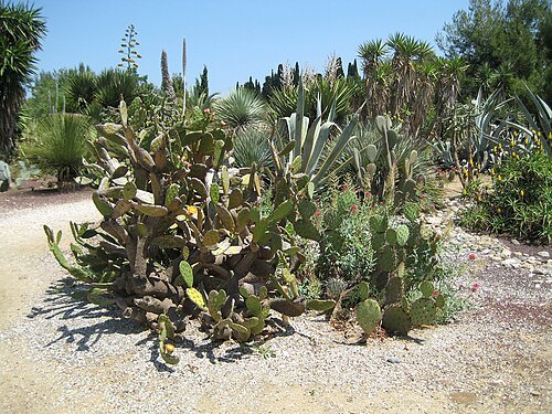 Jardin exotique de Ponteilla