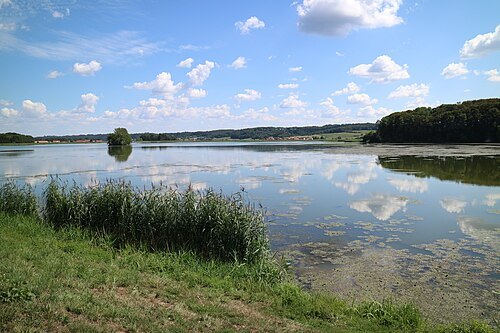Gajševsko jezero