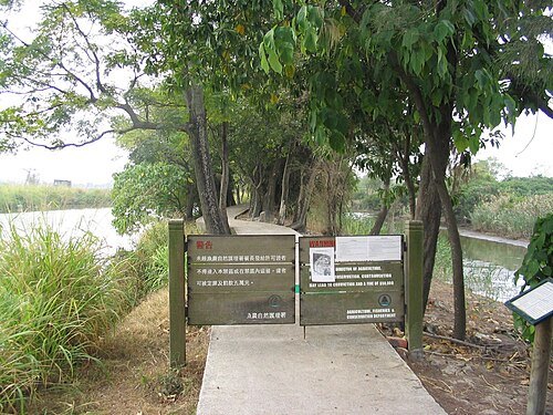 Mai Po Marshes