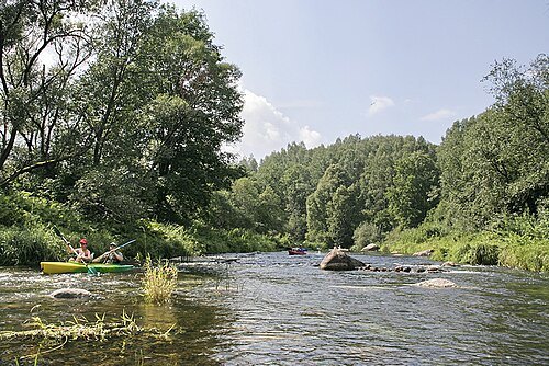 Širvinta
