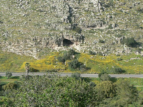 Nahal Oren