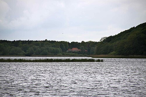 Ahrensee