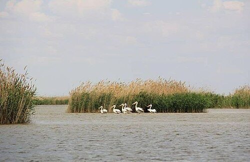 State Nature Reservat "Akzhaiyk"