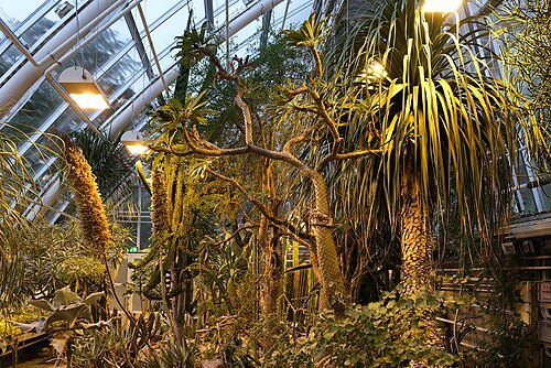 Botanical Garden of Turku University
