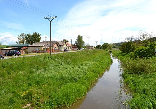 Gortva