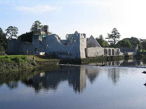 Adare Desmond Castle (Caisleán an Áth Dara)