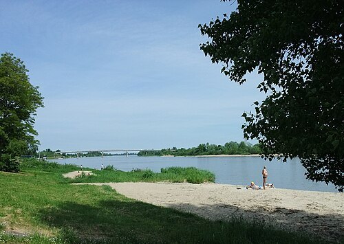 Rusnė Island