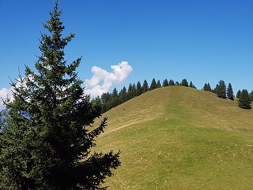 Sarojahoehe