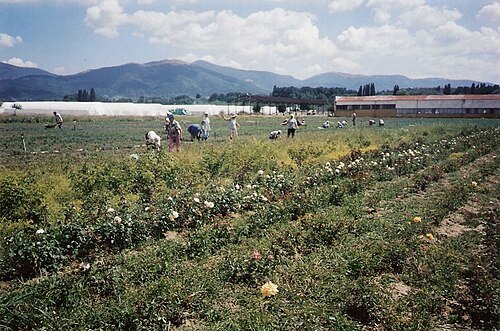 Kazanlak Valley
