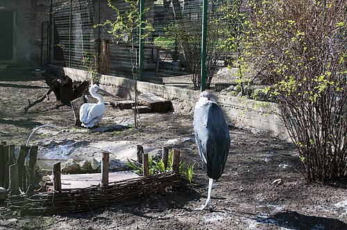 Chișinău Zoo