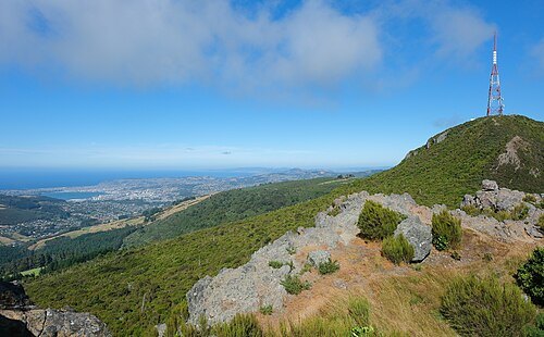 Mount Cargill