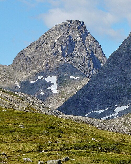 Kongen