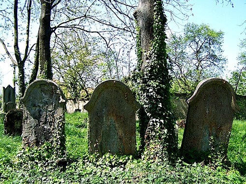 Old Jewish cemetery in Kolín