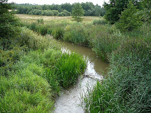 Rīva River
