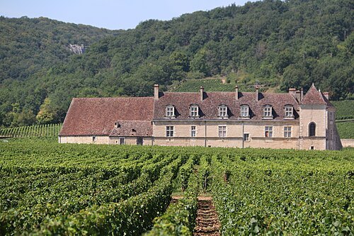 Clos de Vougeot