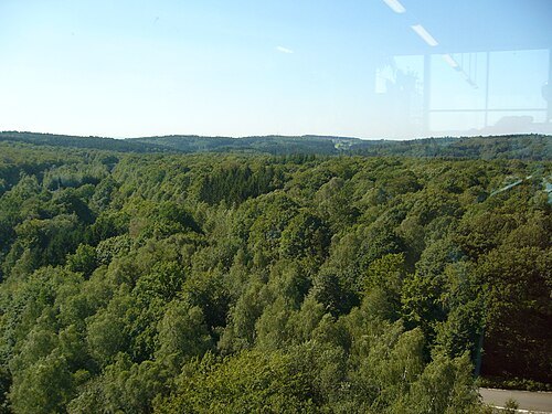 Hertogenwald