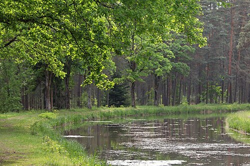 Ludwig Canal