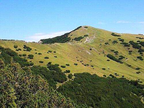 Schönberg