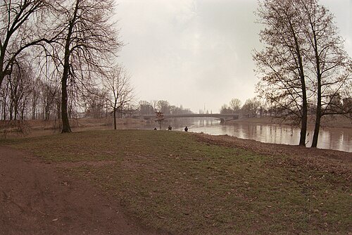 Orlice