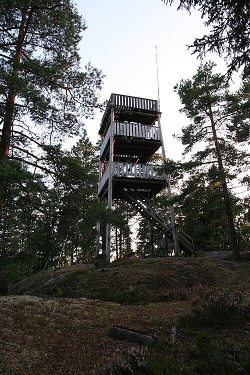 Oppskott