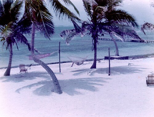 Ambergris Caye