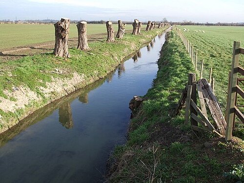 River Ouzel
