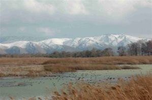 Aammiq Wetland
