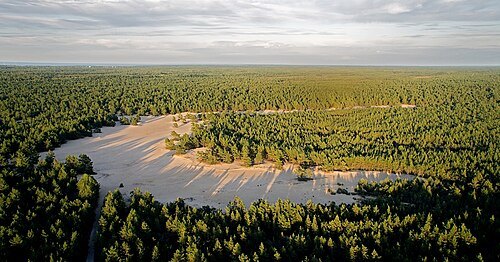 Pihla-Kaibaldi Nature Reserve