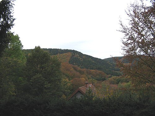 Hürtgen Forest
