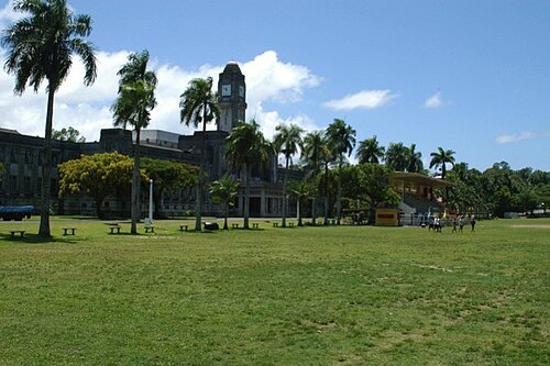 Albert Park
